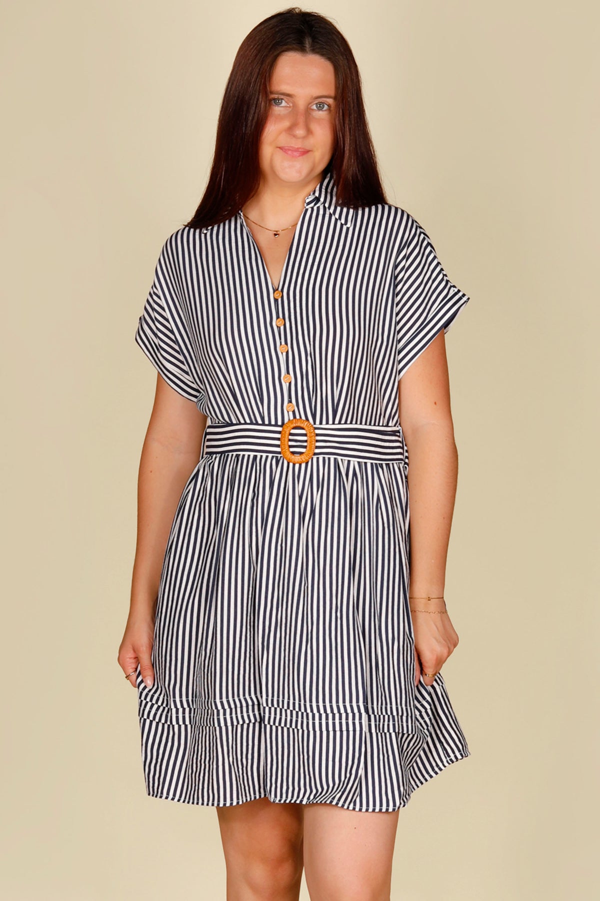 Susie Navy Stripe Mini Dress