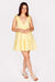 Daisy Gingham Dress