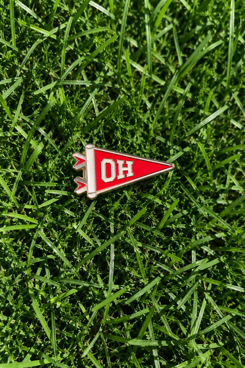 Ohio Pins