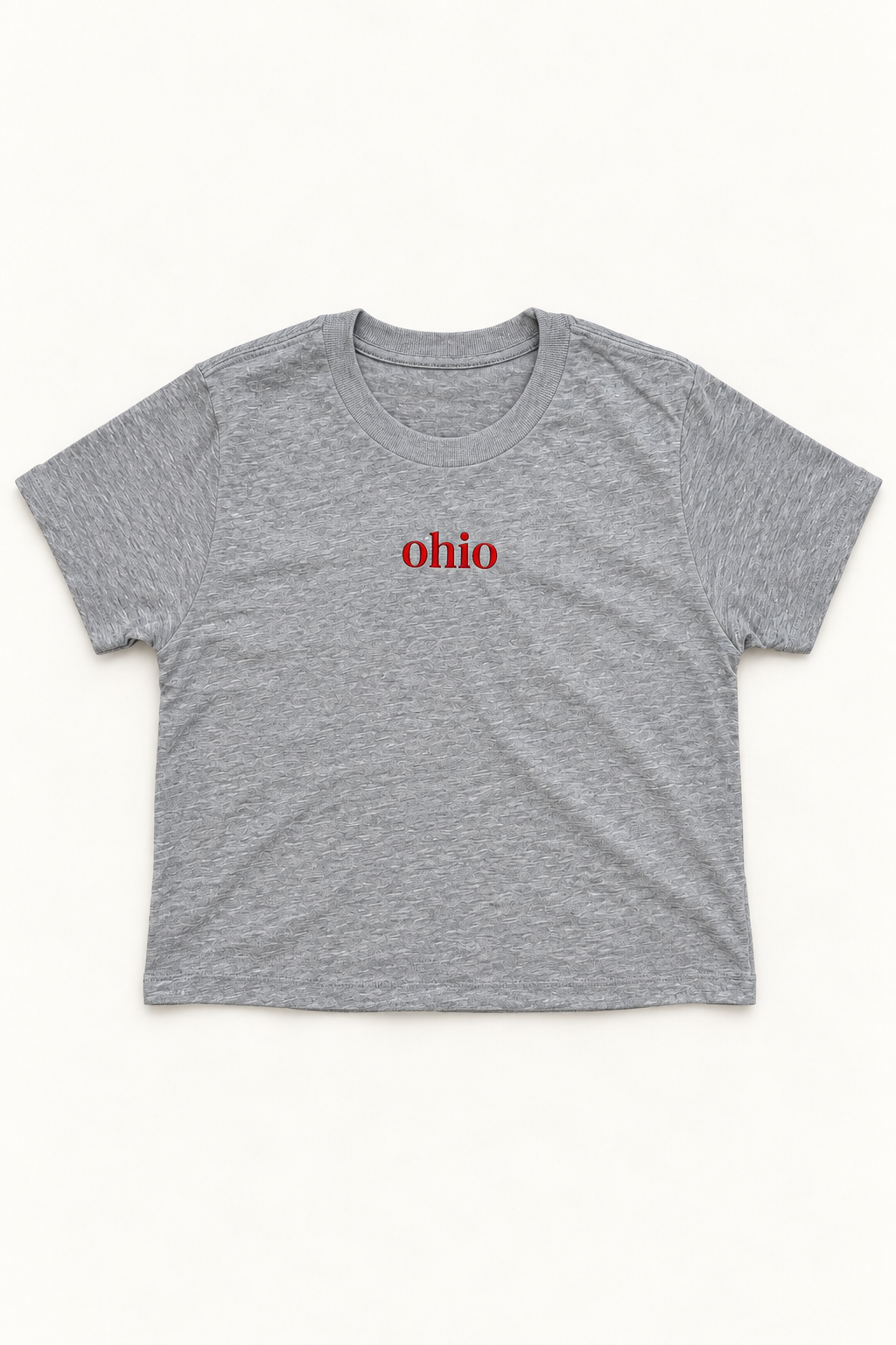 Ohio Embroidered Boxy Tee