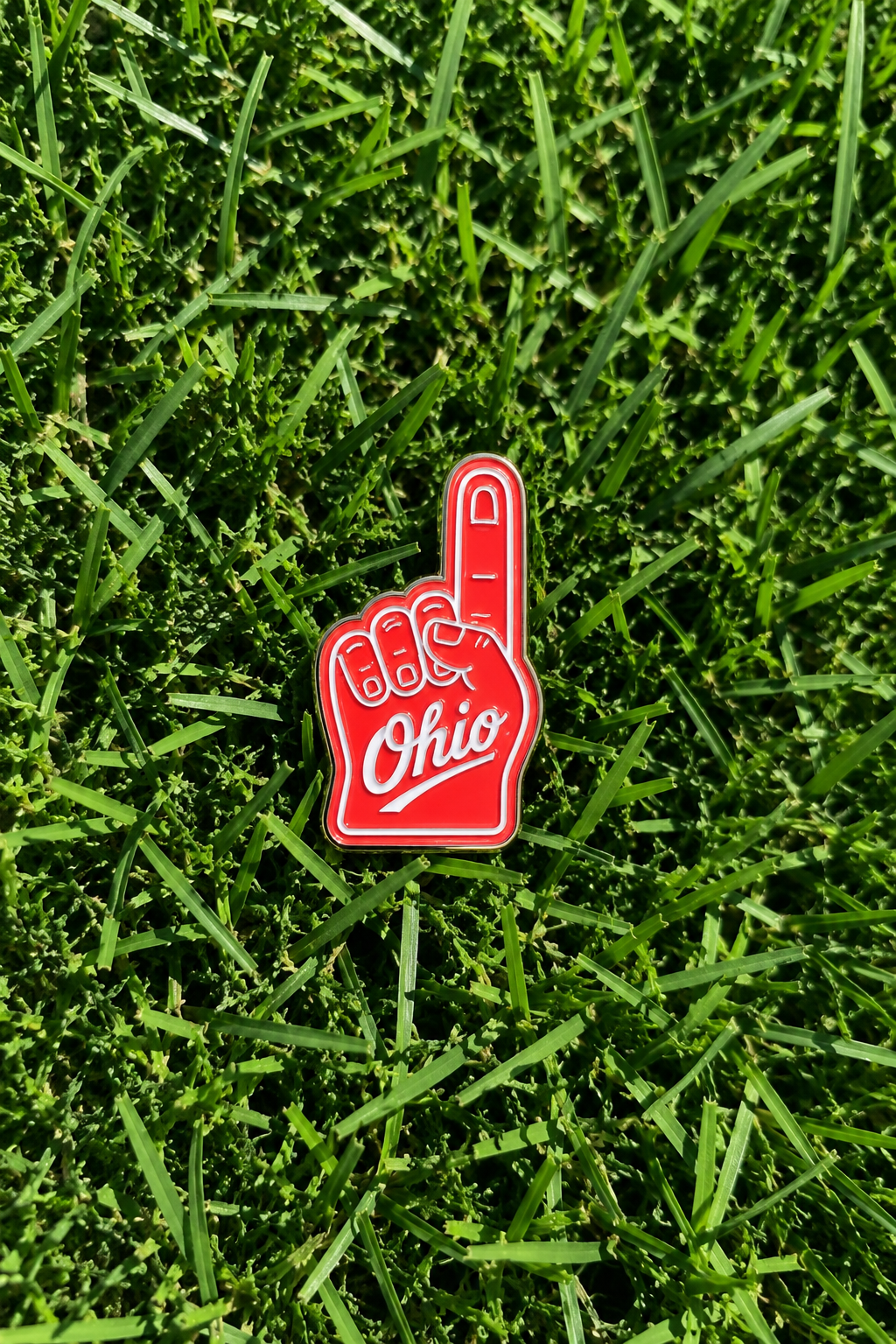 Ohio Pins