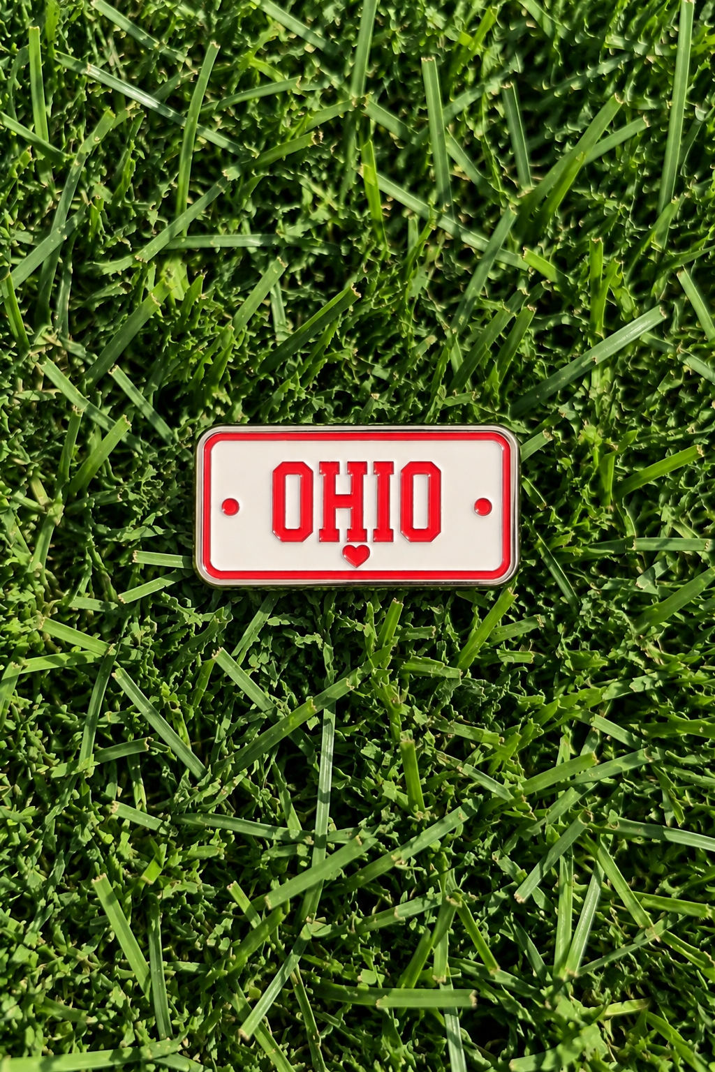Ohio Pins