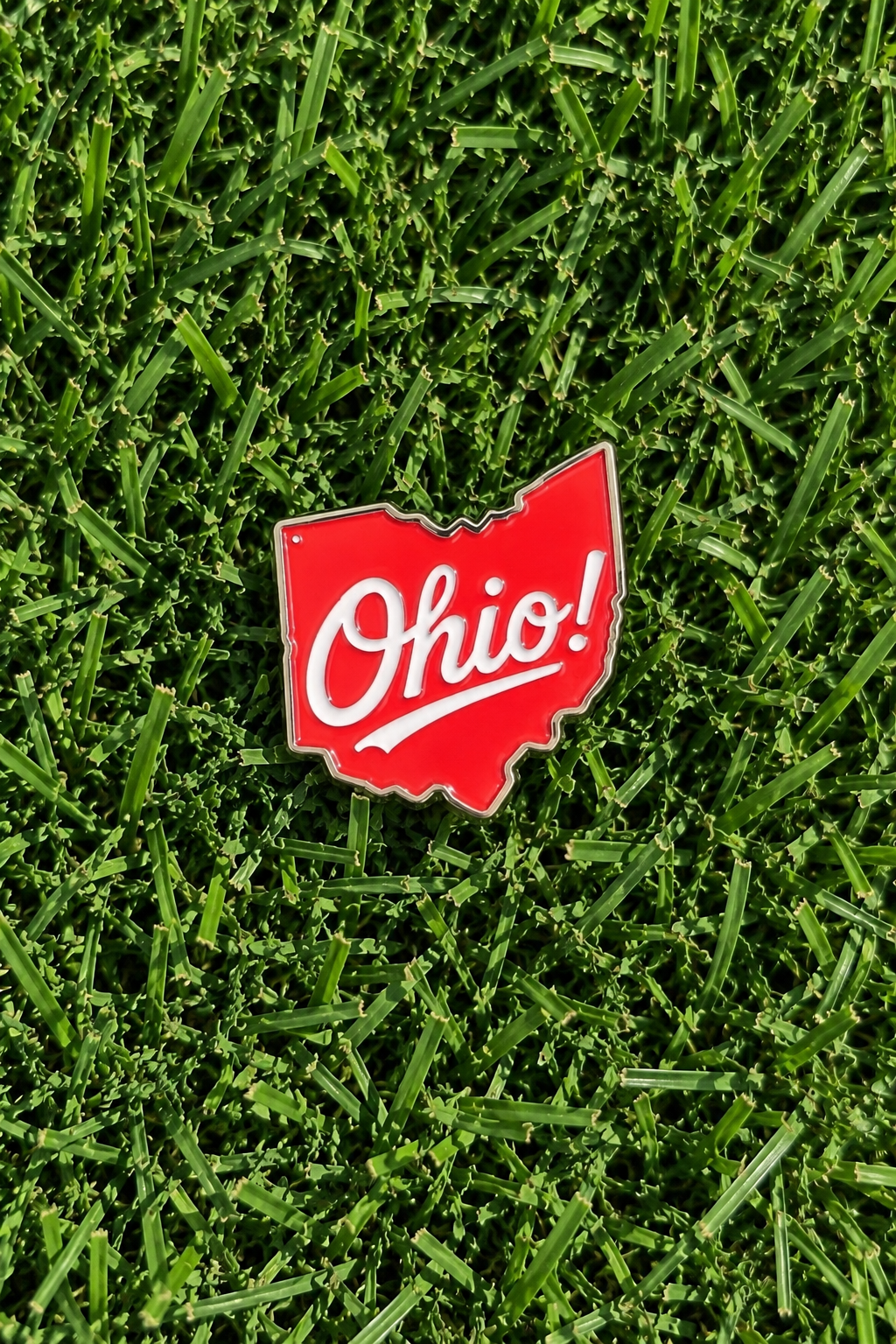 Ohio Pins